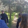 Piantumazione alberi