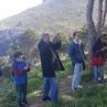 Piantumazione alberi