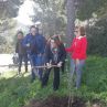 Piantumazione alberi