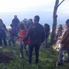 Piantumazione alberi