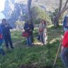 Piantumazione alberi